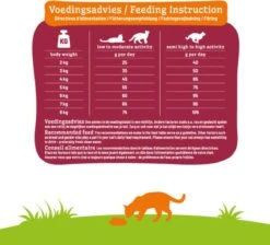 Smolke Senior Kat 4 Kg - Kat -Kattenbenodigdheden 1200x1089 1