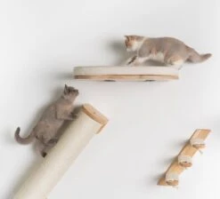 RHRQuality Wandmeubel Wandmontage Klimmuur Kat 53 X 43cm Luxe Kattenbed Creme Wand Muur Krabpaal Katten Muurbevestiging 15 RHRQuality Wandmeubel Wandmontage Klimmuur Kat 53 X 43cm Luxe Kattenbed Creme Wand Muur Krabpaal Katten Muurbevestiging -Kattenbenodigdheden 1200x1090 3