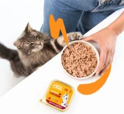 4x Edgard & Cooper Kattenvoer Adult Multipack Pate 8 X 85 Gr -Kattenbenodigdheden 1200x1105 2