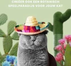 Krabpaal Voor Katten - Cactus - Met Kattenspeeltje - H 65 Cm -Kattenbenodigdheden 1200x1114 9