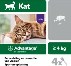 Bayer Anti Vlooienmiddel Advantage 80 > 4 Kg - 4 X 0,8 Ml -Kattenbenodigdheden 1200x1117 4