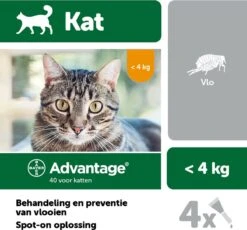 Bayer Advantage 40 Tegen Vlooien - <4kg - 4 X 0,4 Ml - Adult 25 Bayer Advantage 40 Tegen Vlooien - <4kg - 4 X 0,4 Ml - Adult -Kattenbenodigdheden 1200x1117 5