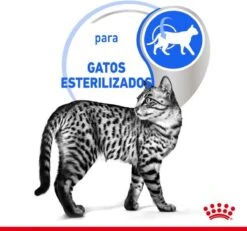 Royal Canin Feline Sterilised Indoor In Gravy -Kattenbenodigdheden 1200x1120 1