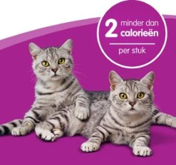 Whiskas Dentabites Kattensnoepjes - Kip - 8 X 40g -Kattenbenodigdheden 1200x1129 2