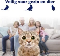 Biologische Vlooienband | Katten | Zonder Pesticiden | Vlooien En Teken | Veilig Voor Mens En Dier | Milieuvriendelijk | Kattenbandje | Geur Halsband -Kattenbenodigdheden 1200x1137 2