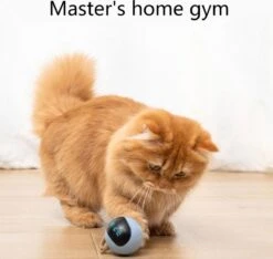 Otiume Interactieve Speelbal - Slimme Interactieve Jaag Speeltje Voor Katten - Kattenspeeltjes - Intelligente Jaagbal - AI -USB Oplaadbaar - LED - Blauw -Kattenbenodigdheden 1200x1137 4