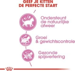 Royal Canin Kitten Sterilised - Kattenvoer - 2 Kg -Kattenbenodigdheden 1200x1141 2