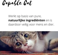 Capable Cat Vlooienband Kat | Vlooien | Luizen | Teken | Mijten | 8 Maanden Bescherming | Katten 13 Capable Cat Vlooienband Kat | Vlooien | Luizen | Teken | Mijten | 8 Maanden Bescherming | Katten -Kattenbenodigdheden 1200x1142 3