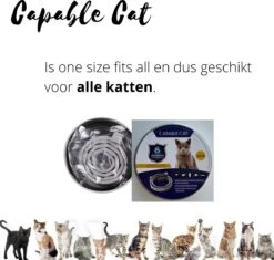 Capable Cat Vlooienband Kat | Vlooien | Luizen | Teken | Mijten | 8 Maanden Bescherming | Katten 15 Capable Cat Vlooienband Kat | Vlooien | Luizen | Teken | Mijten | 8 Maanden Bescherming | Katten -Kattenbenodigdheden 1200x1142 4
