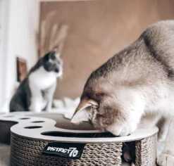 Interactief Design Krabspeelgoed Voor Katten Van Duurzaam Karton - District 70 SNAKE - Zwart -Kattenbenodigdheden 1200x1146 1