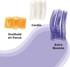 Pettadore Springs - Kattenveertjes - Kattenspeelgoed - Kattenspeeltjes - 9 Stuks 17 Pettadore Springs - Kattenveertjes - Kattenspeelgoed - Kattenspeeltjes - 9 Stuks -Kattenbenodigdheden 1200x1147 1