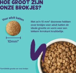 Edgard & Cooper Kattenvoer Adult Zalm 4 Kg 17 Edgard & Cooper Kattenvoer Adult Zalm 4 Kg -Kattenbenodigdheden 1200x1149