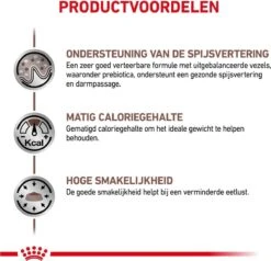 Royal Canin Gastro Intestinal Moderate Calorie - Kattenvoer - 4 Kg 17 Royal Canin Gastro Intestinal Moderate Calorie - Kattenvoer - 4 Kg -Kattenbenodigdheden 1200x1155 1