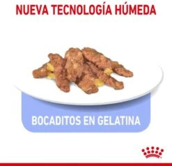 Royal Canin Feline Sterilised Indoor In Gravy -Kattenbenodigdheden 1200x1155