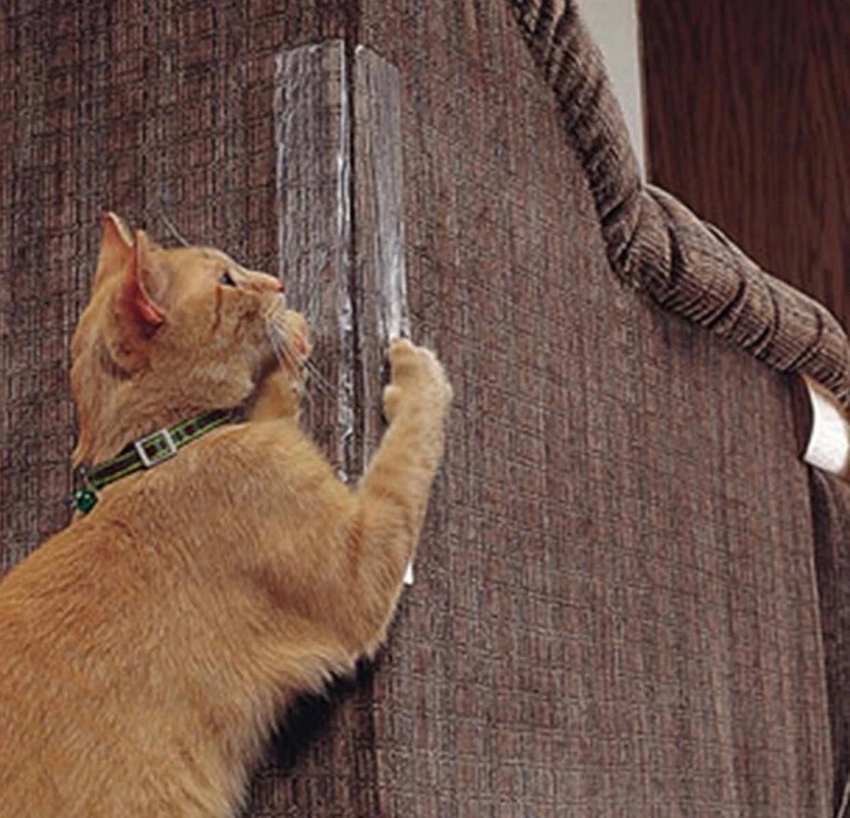 Bescherming Tegen Krab Schade Van Katten - 2 Stuks - Konijnen - Honden - Meubel Bescherming - Cat Scratchers - Furniture - Couch Protector - Katten Nagels - Huisdieren Veiligheid - Meubel - Interieur 6 Bescherming Tegen Krab Schade Van Katten - 2 Stuks - Konijnen - Honden - Meubel Bescherming - Cat Scratchers - Furniture - Couch Protector - Katten Nagels - Huisdieren Veiligheid - Meubel - Interieur - Afbeelding 4