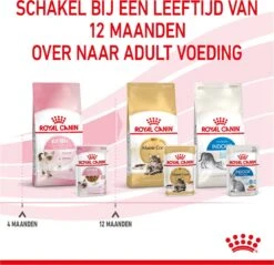 Royal Canin Wet Kitten (12X85 GR) -Kattenbenodigdheden 1200x1159 7