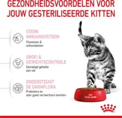 Royal Canin Kitten Sterilised - Kattenvoer - 2 Kg -Kattenbenodigdheden 1200x1159 9