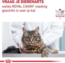 Royal Canin Gastrointestinal Kitten - 2 Kg -Kattenbenodigdheden 1200x1160