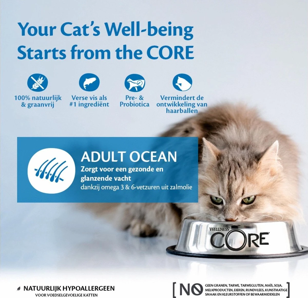 Wellness Core Grain Free Cat Ocean Zalm & Tonijn - Kattenvoer - 1.75 Kg 8 Wellness Core Grain Free Cat Ocean Zalm & Tonijn - Kattenvoer - 1.75 Kg - Afbeelding 6