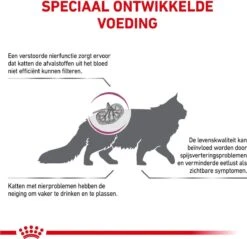 Royal Canin Renal Special - Kattenvoer - 4 Kg 18 Royal Canin Renal Special - Kattenvoer - 4 Kg -Kattenbenodigdheden 1200x1161 9