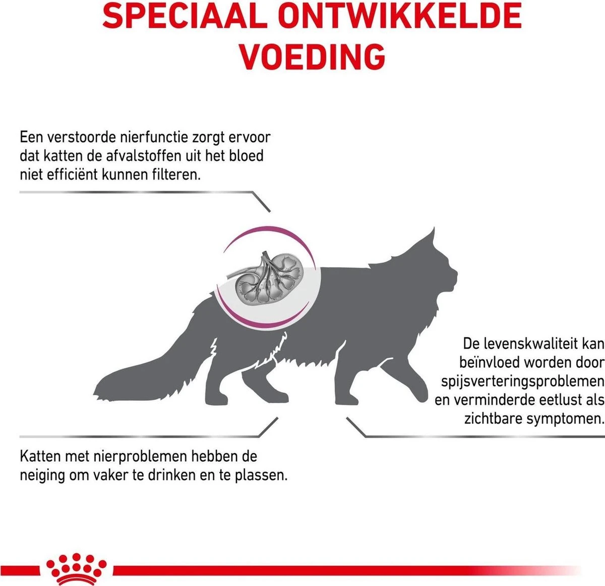 Royal Canin Renal Special - Kattenvoer - 4 Kg 6 Royal Canin Renal Special - Kattenvoer - 4 Kg - Afbeelding 4