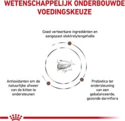 Royal Canin Gastrointestinal Kitten - 2 Kg -Kattenbenodigdheden 1200x1162 1