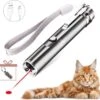 Laserpen - USB - Kattenspeeltjes - Zaklamp - Kat - Laser - Kattenspeelgoed - RVS Opbergblikje -Kattenbenodigdheden 1200x1162 10