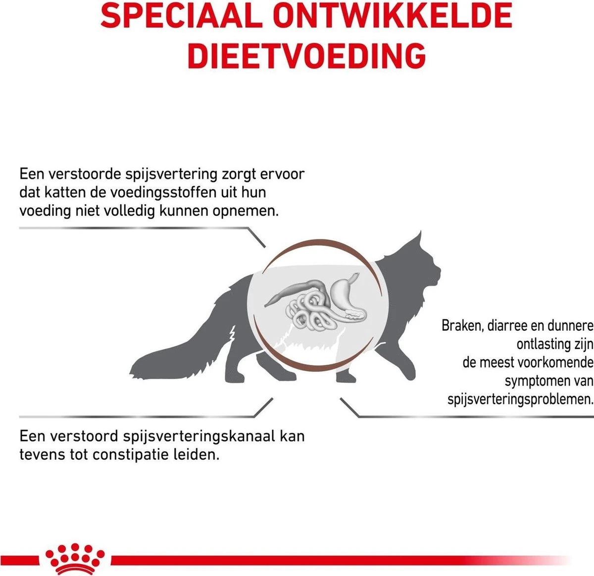 Royal Canin Fibre Response - Kattenvoer - 2 Kg 5 Royal Canin Fibre Response - Kattenvoer - 2 Kg - Afbeelding 3