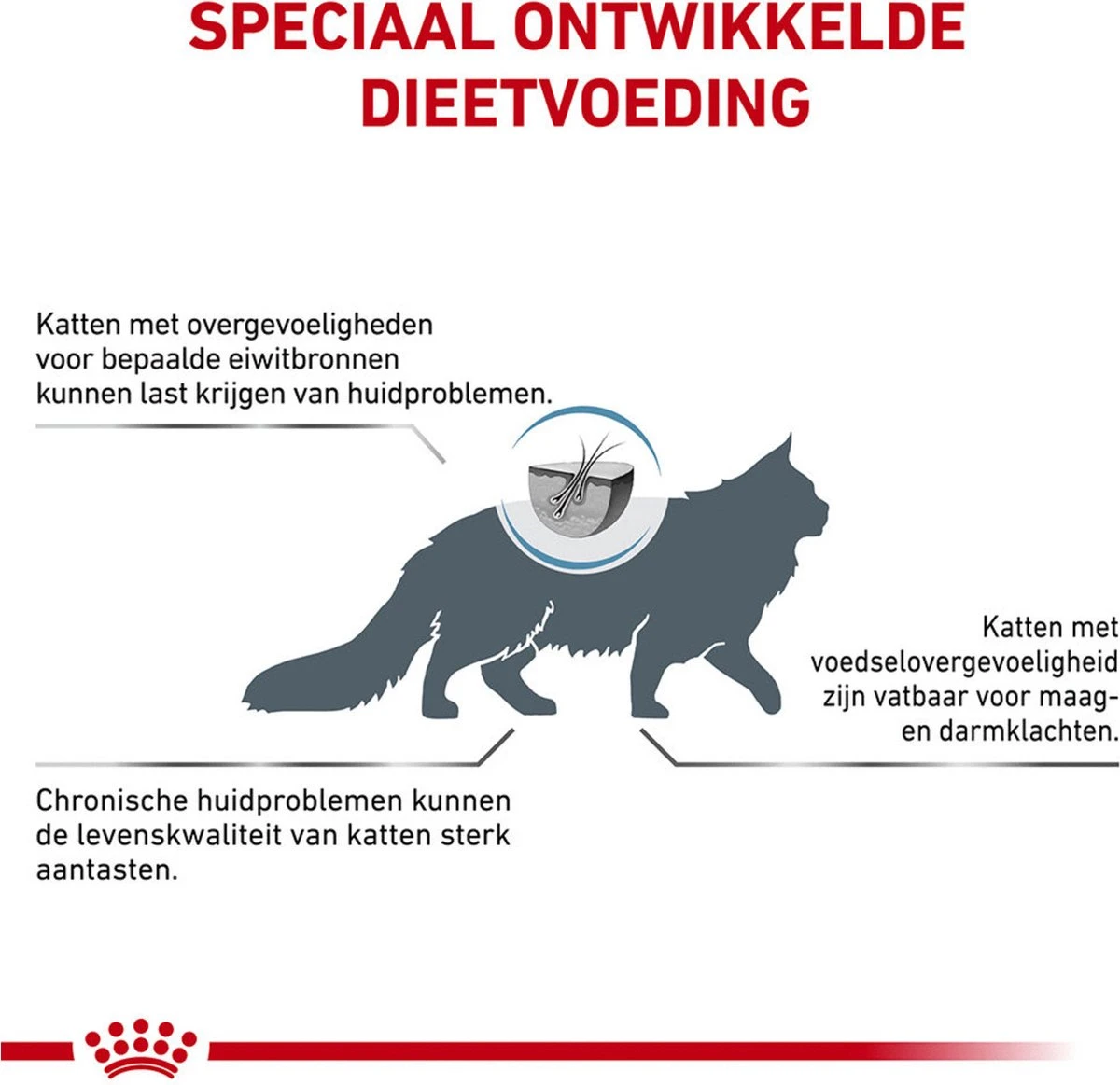 Royal Canin Veterinary Diet Cat Anallergenic - Kattenvoer - 2 Kg 4 Royal Canin Veterinary Diet Cat Anallergenic - Kattenvoer - 2 Kg - Afbeelding 2
