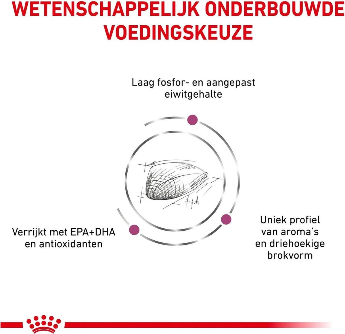 Royal Canin Renal Special - Kattenvoer - 4 Kg 7 Royal Canin Renal Special - Kattenvoer - 4 Kg - Afbeelding 5
