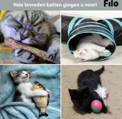 Filo Kattenspeelgoed Set 30 Stuks - Kattenspeeltje Kattentunnel - Kattenhengel - Kattenveertjes - Vis Met Kattenkruid - Kattenspeeltjes Intelligentie Kitten - Interactief Speelgoed Katten - Poezen Speeltjes -Kattenbenodigdheden 1200x1170 2