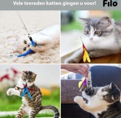 Filo Kattenhengel Set + 12 Kattenspeeltjes – Speelhengels Interactief Kattenspeelgoed – Hengel Kattenspeeltje Kittens - Speelgoed Speelhengel Vis Kat En Kitten 15 Filo Kattenhengel Set + 12 Kattenspeeltjes – Speelhengels Interactief Kattenspeelgoed – Hengel Kattenspeeltje Kittens - Speelgoed Speelhengel Vis Kat En Kitten -Kattenbenodigdheden 1200x1170 6