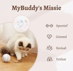 MyBuddy - Interactieve Zelf Rollende Bal - Kattenspeeltjes - Kattenspeelgoed - Bal Voor Katten - LED Lights - Speelgoed - USB - Roze 12 MyBuddy - Interactieve Zelf Rollende Bal - Kattenspeeltjes - Kattenspeelgoed - Bal Voor Katten - LED Lights - Speelgoed - USB - Roze -Kattenbenodigdheden 1200x1171