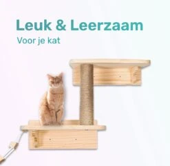 LBB - Katten Klimmuur - Ladder En Krabpaal - Katten Klim Wand - Krabpaal Muur - Klimmuur Kat - Krabpaal Voor Grote Katten -Kattenbenodigdheden 1200x1173 4