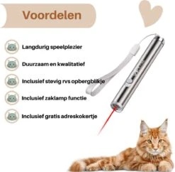 Laserpen - Kattenspeeltjes - Zaklamp - Kat - Laser - Kattenspeelgoed - RVS Opbergblikje -Kattenbenodigdheden 1200x1175 5