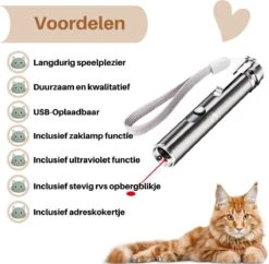 Laserpen - USB - Kattenspeeltjes - Zaklamp - Kat - Laser - Kattenspeelgoed - RVS Opbergblikje -Kattenbenodigdheden 1200x1175 6
