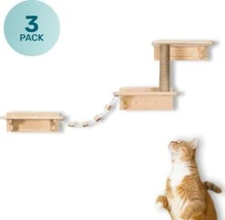 LBB - Katten Klimmuur - Ladder En Krabpaal - Katten Klim Wand - Krabpaal Muur - Klimmuur Kat - Krabpaal Voor Grote Katten -Kattenbenodigdheden 1200x1177 11