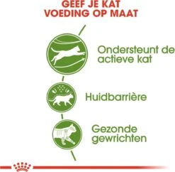 Royal Canin Outdoor - Kattenvoer - 4 Kg -Kattenbenodigdheden 1200x1177