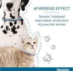 Seresto Teken- En Vlooienband - Anti Tekenmiddel - Kat - 38 Cm -Kattenbenodigdheden 1200x1179 3