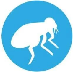 Bayer Bolfo Gold 40 Anti Vlooienmiddel - Kat - 0 Tot 4 Kg - 4 Pipetten -Kattenbenodigdheden 1200x1180 9