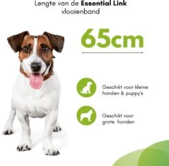 Essential Link Teken- En Vlooienband - Vlooienband Kat/Hond – Anti Vlooien – Vlooienmiddel - Tekenband - Diervriendelijk 14 Essential Link Teken- En Vlooienband - Vlooienband Kat/Hond – Anti Vlooien – Vlooienmiddel - Tekenband - Diervriendelijk -Kattenbenodigdheden 1200x1181 2