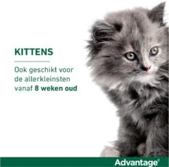 Bayer Advantage 40 Tegen Vlooien - <4kg - 4 X 0,4 Ml - Adult 35 Bayer Advantage 40 Tegen Vlooien - <4kg - 4 X 0,4 Ml - Adult -Kattenbenodigdheden 1200x1183 2