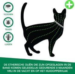 Teken- En Vlooienband Voor Katten PLUS - Natuurlijk Middel Tegen Vlooien En Teken - 100% Natuurlijk - 38,5 CM - Tot 8 Maand Werkzaam - Biologisch -Kattenbenodigdheden 1200x1188 2