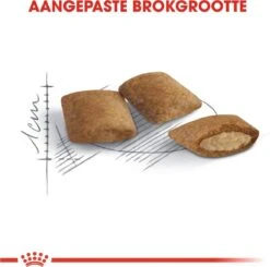 Royal Canin Ageing 12+ - Kattenvoer - 4 Kg -Kattenbenodigdheden 1200x1188