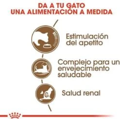 Royal Canin Ageing 12+ - Kattenvoer - 4 Kg -Kattenbenodigdheden 1200x1195