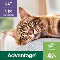 Bayer Anti Vlooienmiddel Advantage 80 > 4 Kg - 4 X 0,8 Ml -Kattenbenodigdheden 1200x1199 9