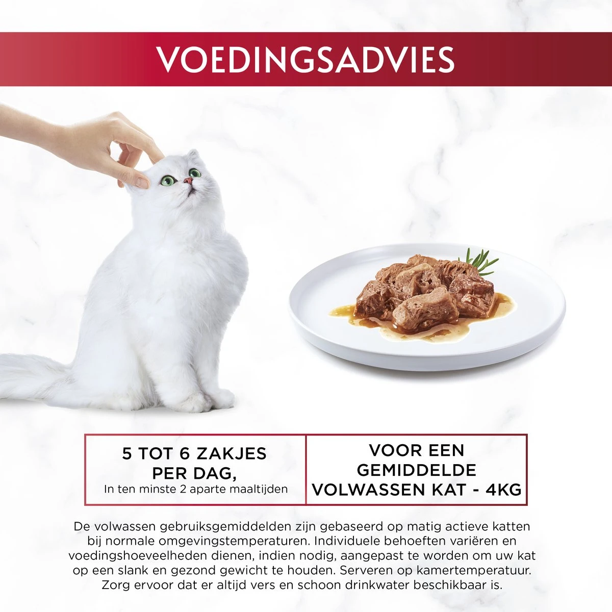 Gourmet Mon Petit Intense - Kattenvoer Natvoer - Vis - 24 X 50 Gr 8 Gourmet Mon Petit Intense - Kattenvoer Natvoer - Vis - 24 X 50 Gr - Afbeelding 6