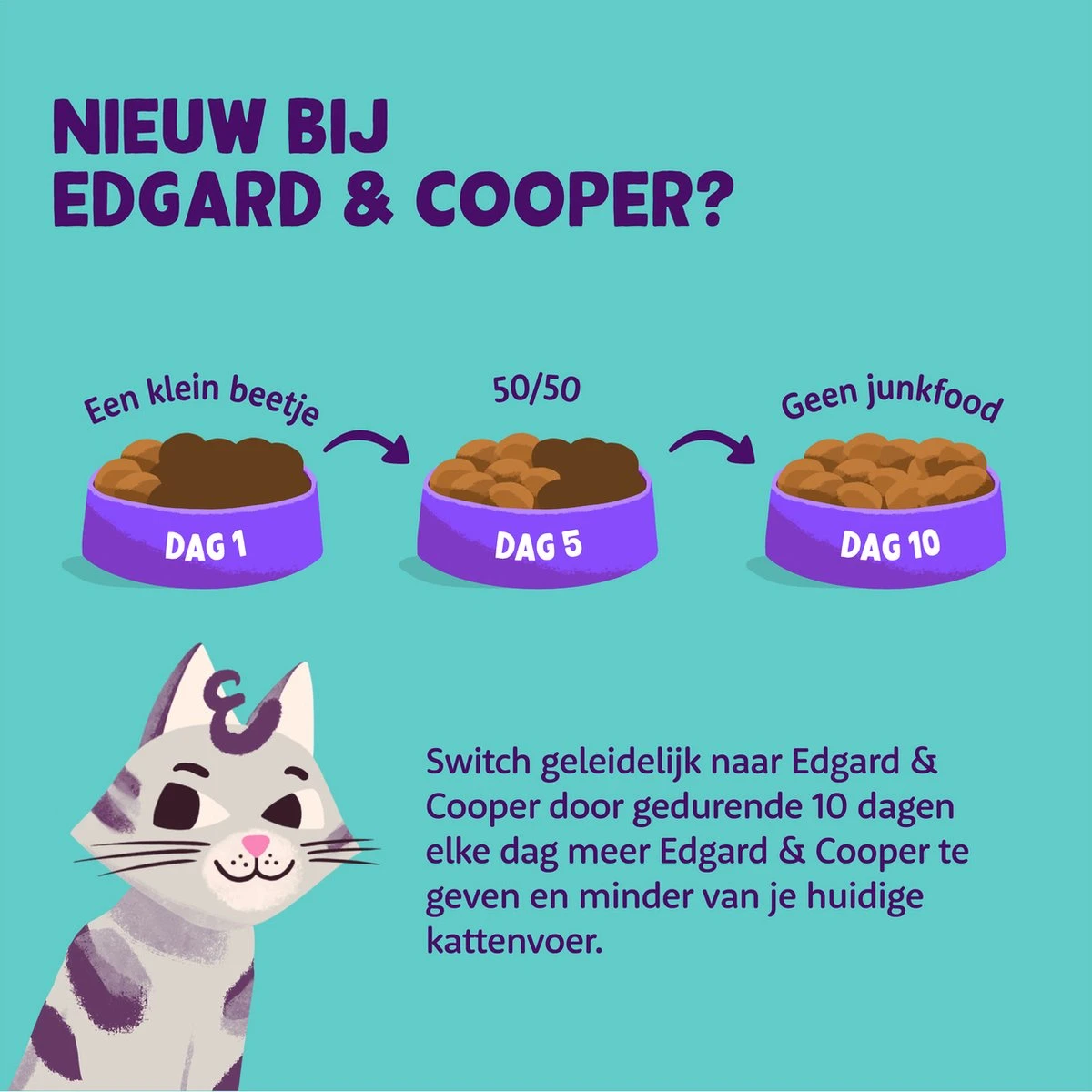 Edgard & Cooper Kattenvoer Adult Zalm 4 Kg 5 Edgard & Cooper Kattenvoer Adult Zalm 4 Kg - Afbeelding 3