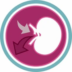 Purina ONE Urinary Care - Kip - Kattenvoer - 800 G 21 Purina ONE Urinary Care - Kip - Kattenvoer - 800 G -Kattenbenodigdheden 1200x1200 138