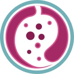 Purina ONE Urinary Care - Kip - Kattenvoer - 800 G 25 Purina ONE Urinary Care - Kip - Kattenvoer - 800 G -Kattenbenodigdheden 1200x1200 140